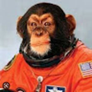 Meet your Posher, Joshua